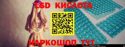 шишки Заволжье