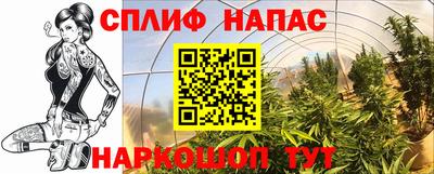 шишки Заволжье