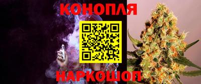 шишки Заволжье