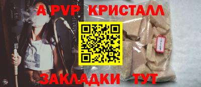 шишки Заволжье