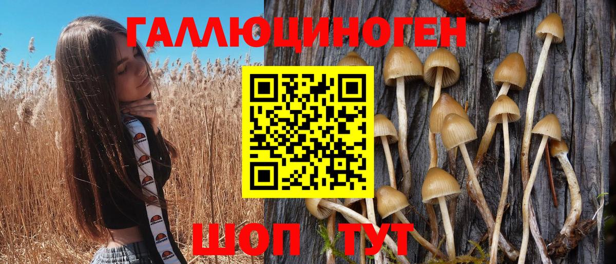 Псилоцибиновые грибы мухоморы  Галлюциногенные грибы GOLDEN TEACHER  Вход с VPN  Нарткала 